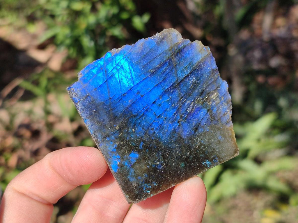 Polished One Side Labradorite Slices x 35 From Madagascar