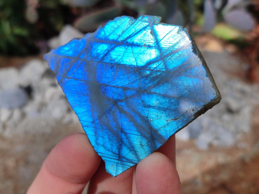 Polished One Side Labradorite Slices x 35 From Madagascar