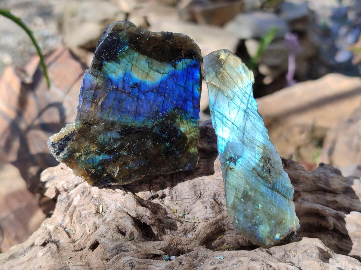 Polished One Side Labradorite Slices x 35 From Madagascar