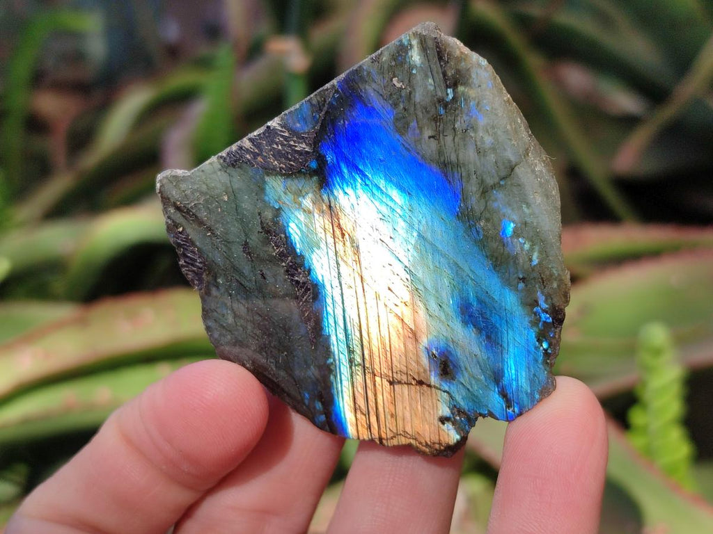 Polished One Side Labradorite Slices x 35 From Madagascar