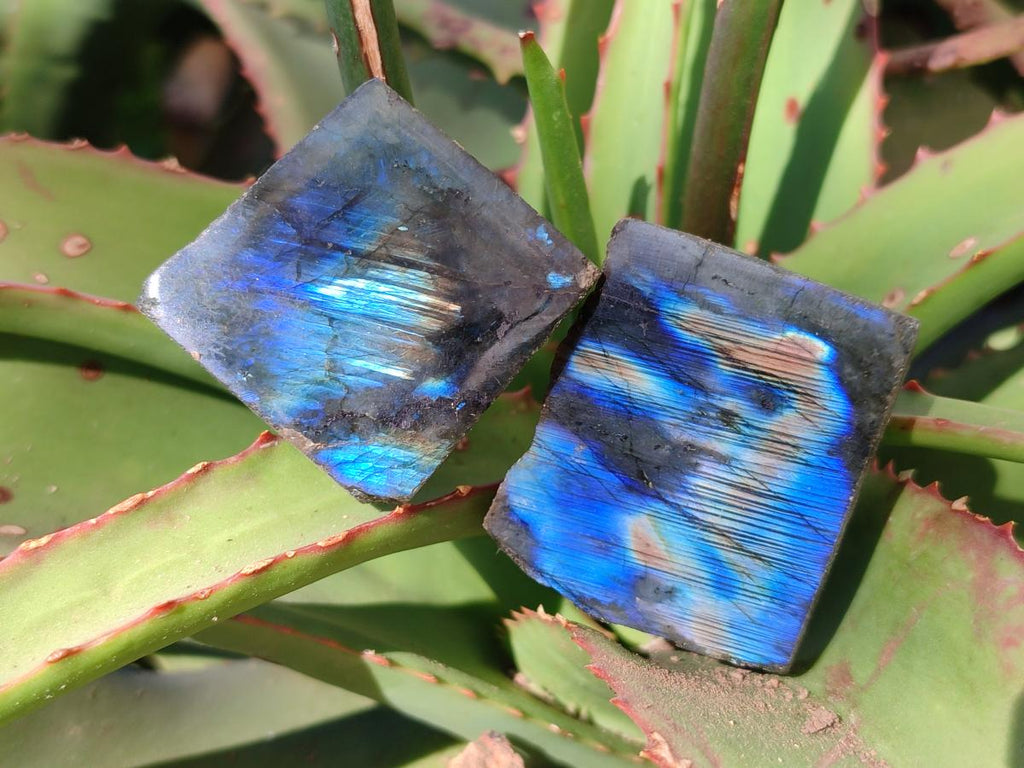 Polished One Side Labradorite Slices x 35 From Madagascar