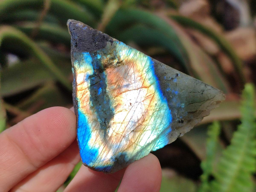 Polished One Side Labradorite Slices x 35 From Madagascar