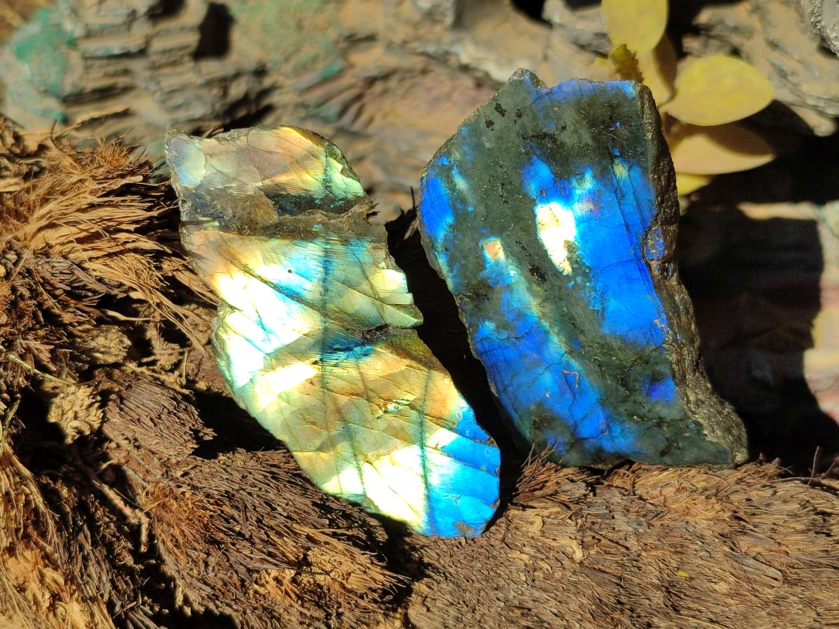 Polished One Side Labradorite Slices x 35 From Madagascar