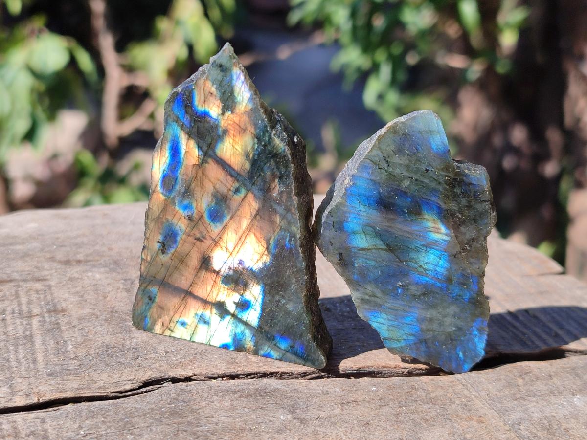 Polished One Side Labradorite Slices x 35 From Madagascar