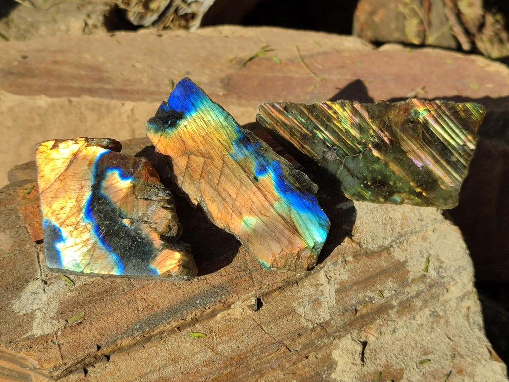 Polished One Side Labradorite Slices x 35 From Madagascar