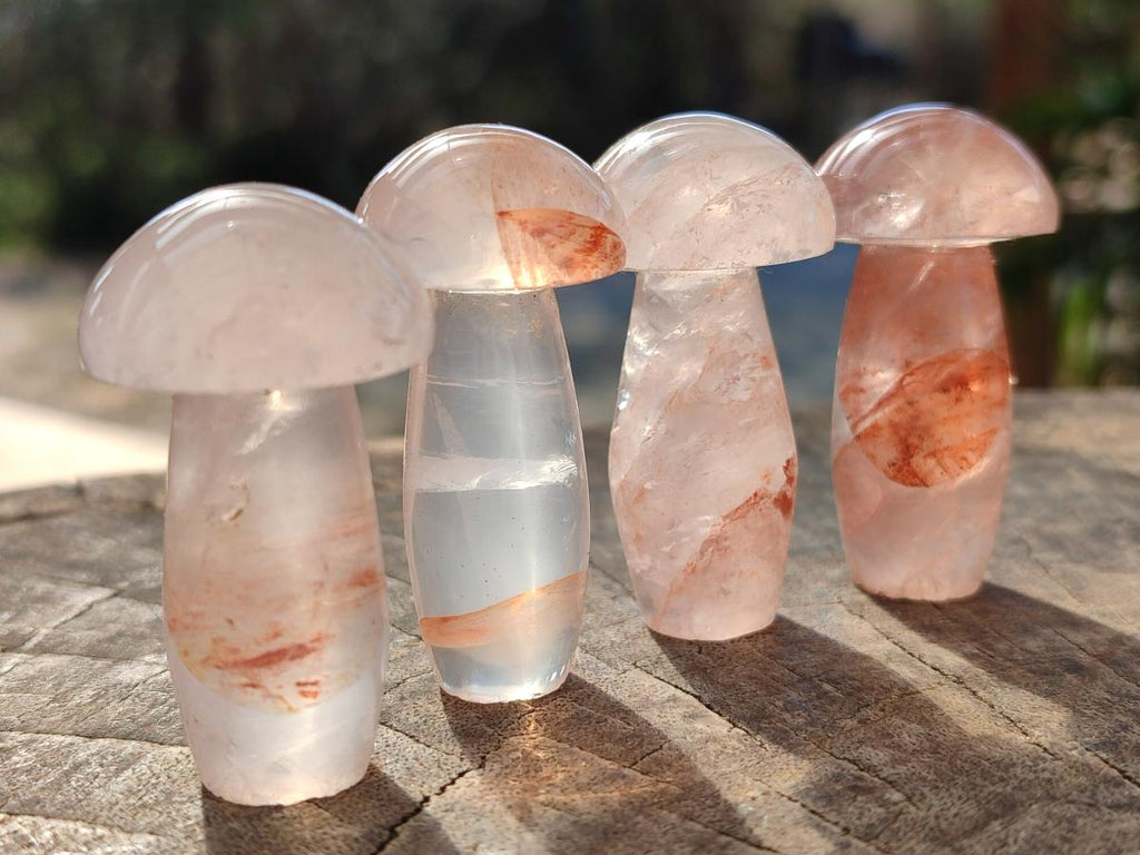 Polished Small Red Hematoid Quartz Mushrooms x 24 From Ambatondrazaka, Madagascar