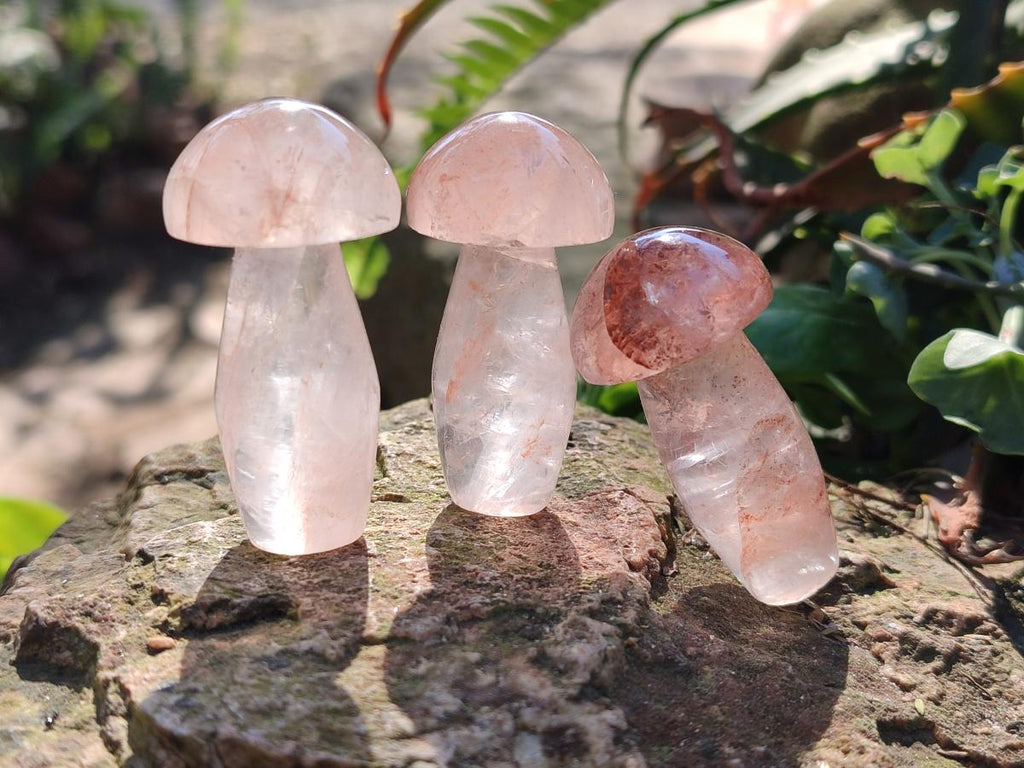 Polished Small Red Hematoid Quartz Mushrooms x 24 From Ambatondrazaka, Madagascar