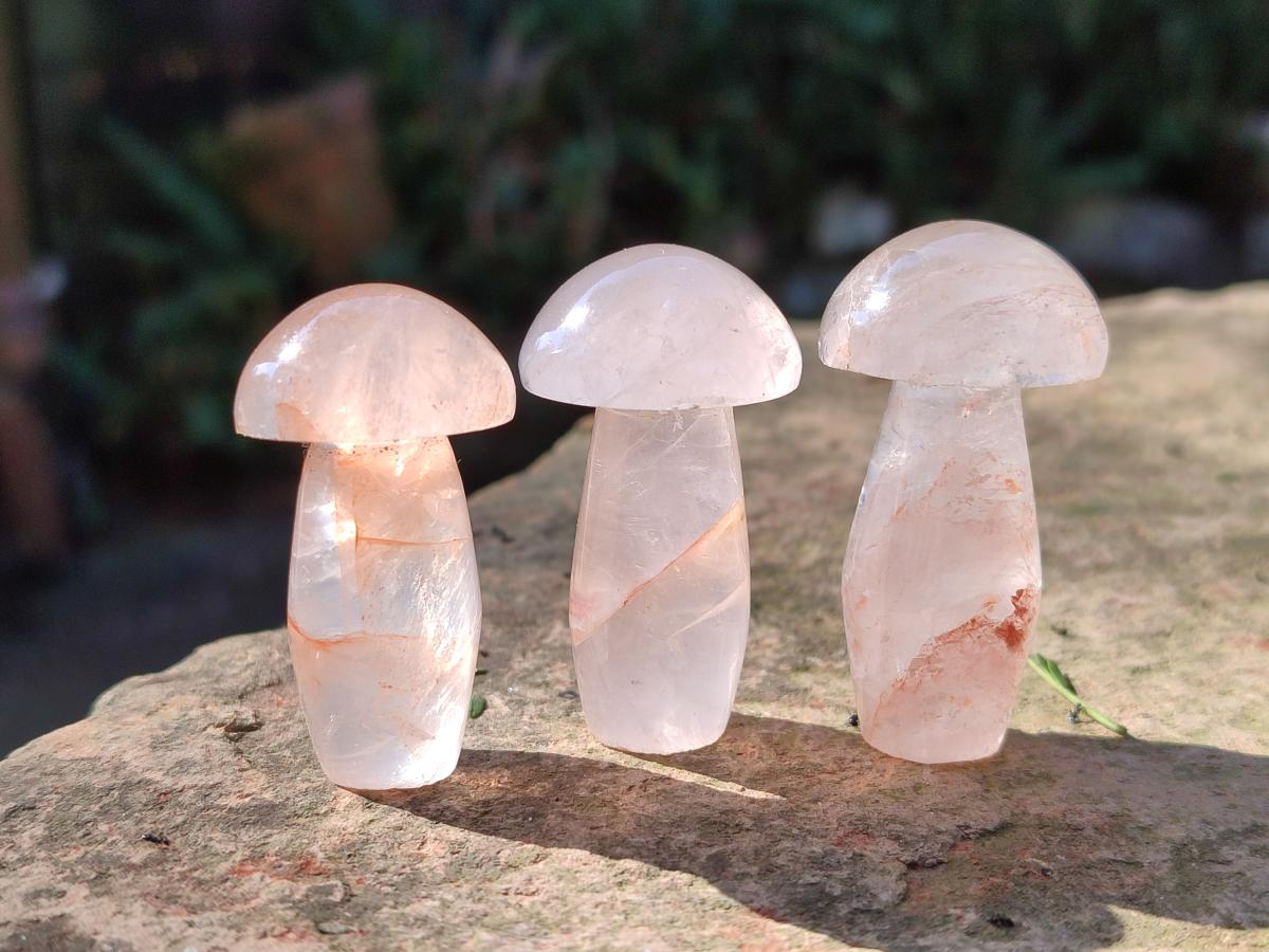 Polished Small Red Hematoid Quartz Mushrooms x 24 From Ambatondrazaka, Madagascar