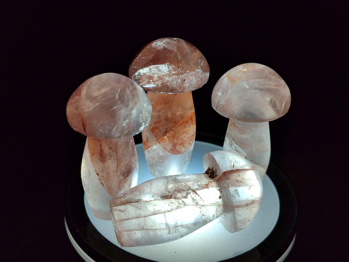Polished Small Red Hematoid Quartz Mushrooms x 24 From Ambatondrazaka, Madagascar