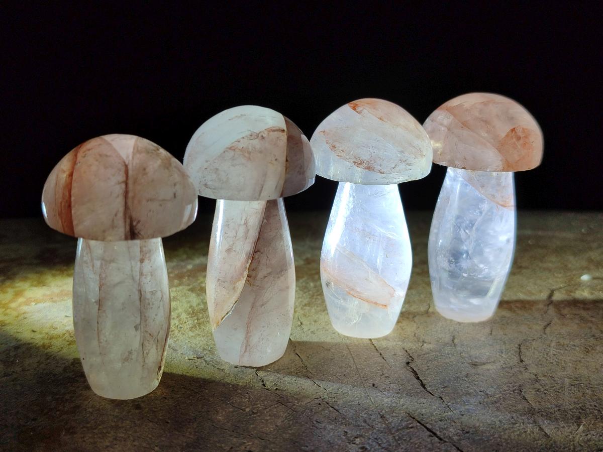 Polished Small Red Hematoid Quartz Mushrooms x 24 From Ambatondrazaka, Madagascar