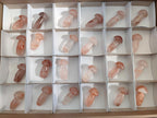 Polished Small Red Hematoid Quartz Mushrooms x 24 From Ambatondrazaka, Madagascar