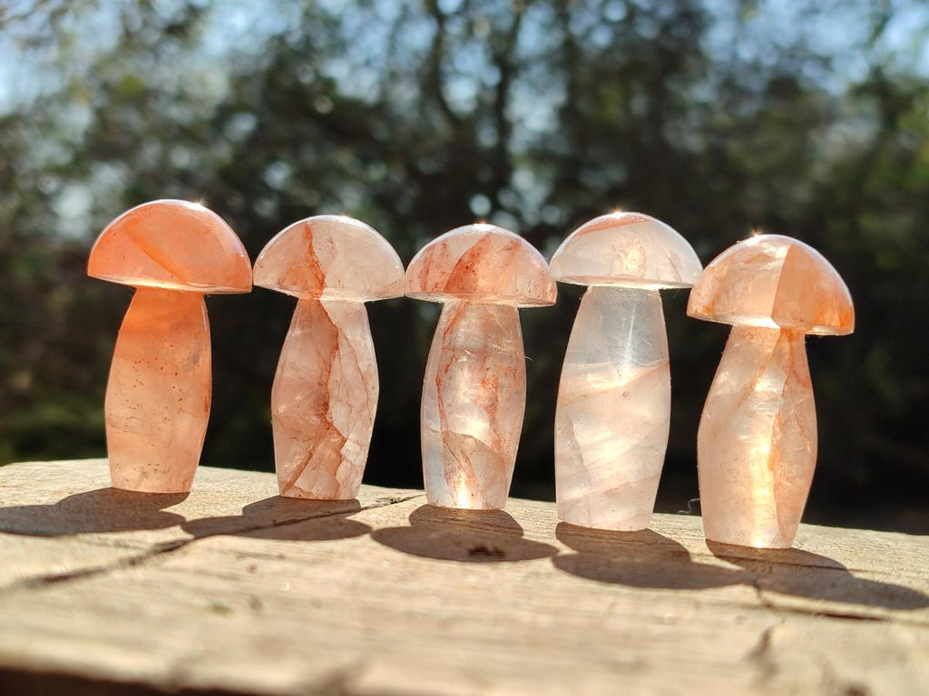 Polished Small Red Hematoid Quartz Mushrooms x 24 From Ambatondrazaka, Madagascar