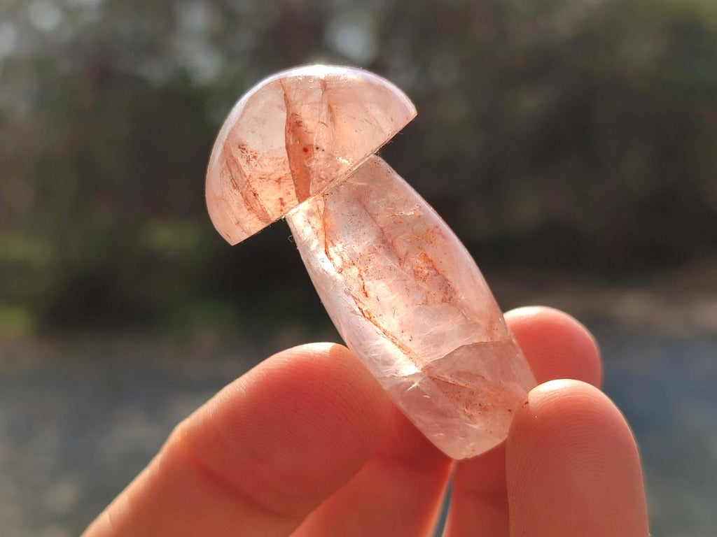 Polished Small Red Hematoid Quartz Mushrooms x 24 From Ambatondrazaka, Madagascar