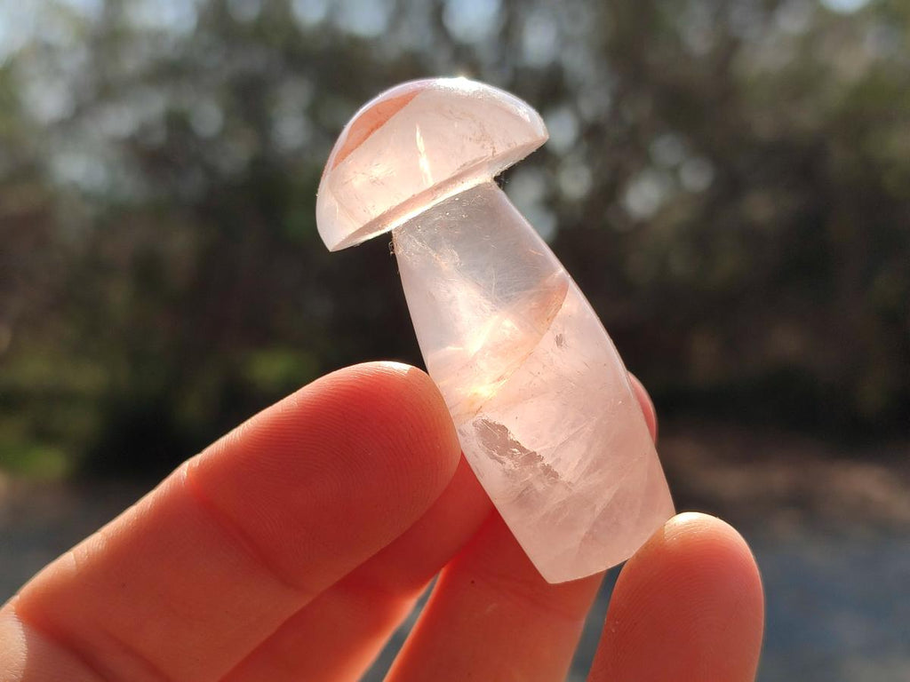Polished Small Red Hematoid Quartz Mushrooms x 24 From Ambatondrazaka, Madagascar