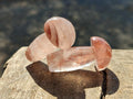 Polished Small Red Hematoid Quartz Mushrooms x 24 From Ambatondrazaka, Madagascar