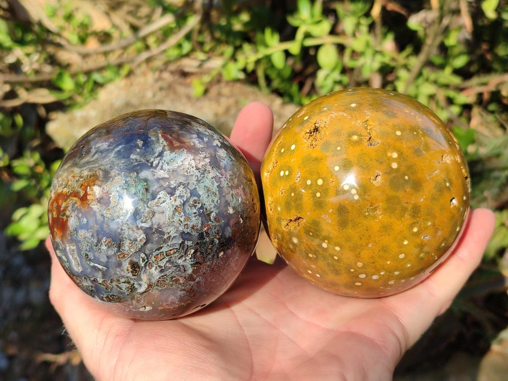 Polished Ocean Jasper Spheres x 2 From Northwest Coast, Madagascar