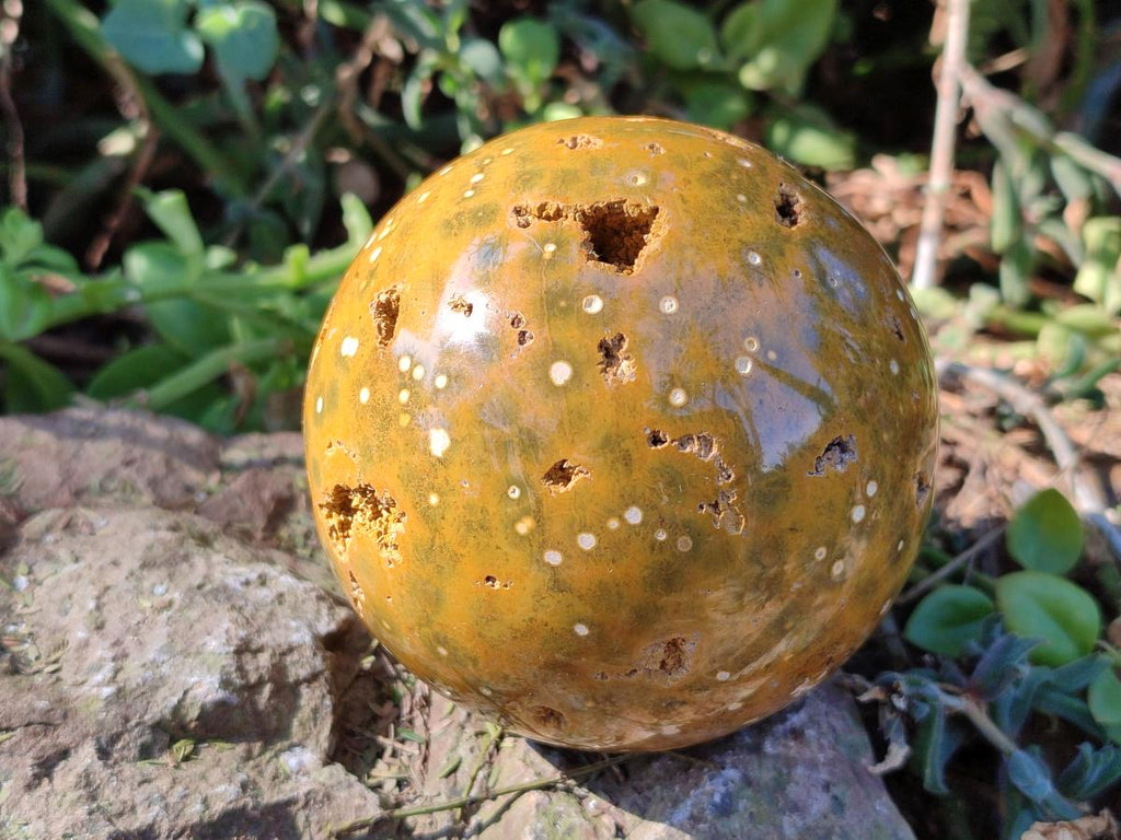 Polished Ocean Jasper Spheres x 2 From Northwest Coast, Madagascar