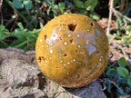 Polished Ocean Jasper Spheres x 2 From Northwest Coast, Madagascar