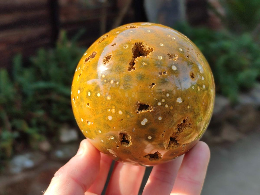 Polished Ocean Jasper Spheres x 2 From Northwest Coast, Madagascar