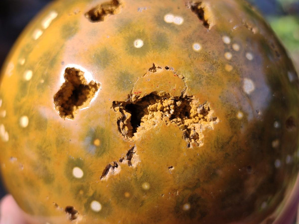 Polished Ocean Jasper Spheres x 2 From Northwest Coast, Madagascar