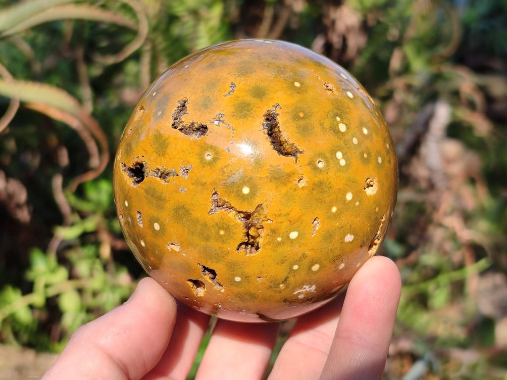 Polished Ocean Jasper Spheres x 2 From Northwest Coast, Madagascar