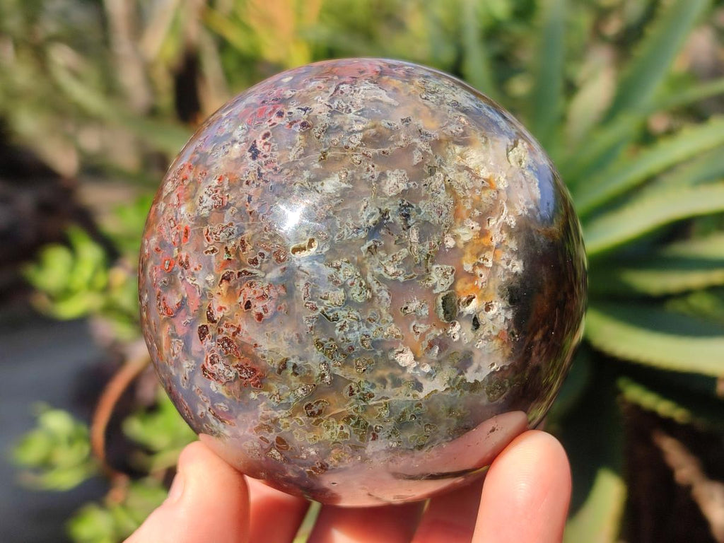 Polished Ocean Jasper Spheres x 2 From Northwest Coast, Madagascar