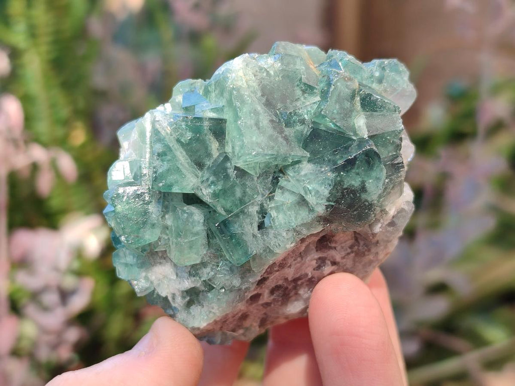 Natural Green Cubic Fluorite Specimens x 10 From Mandrosonoro, Madagascar