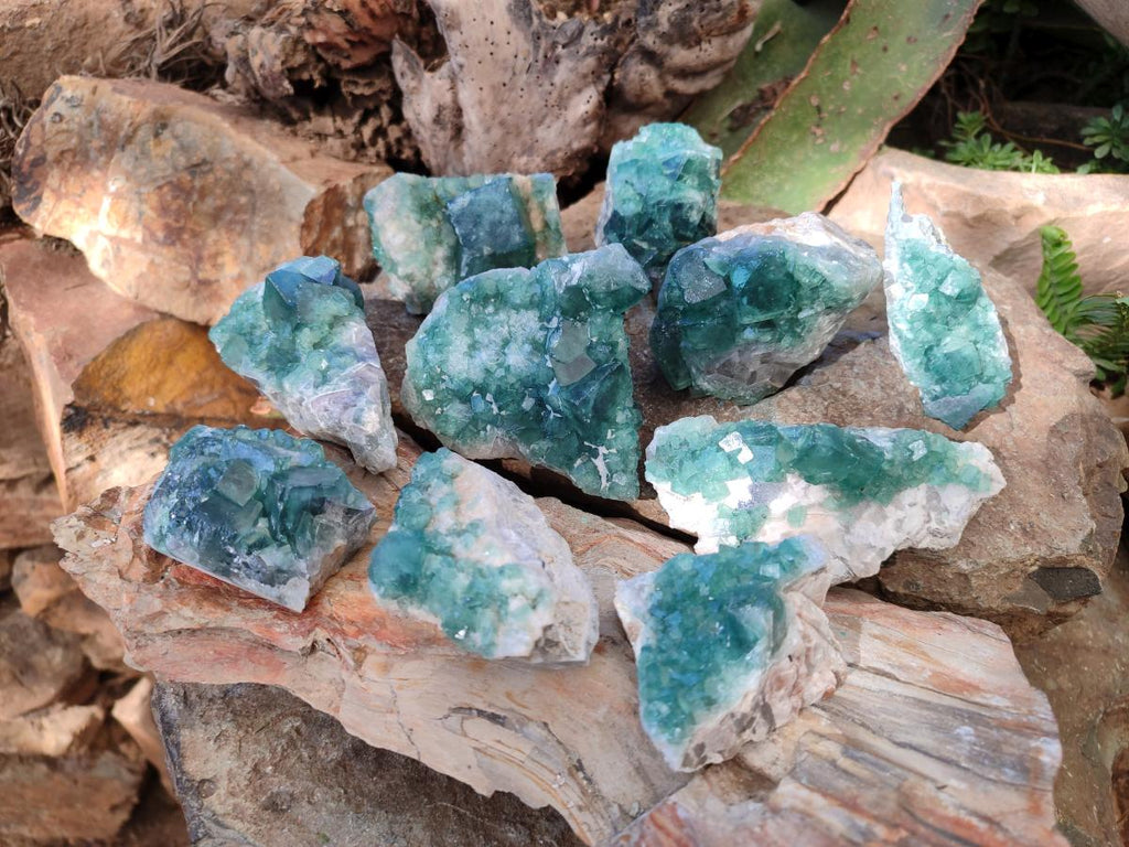 Natural Green Cubic Fluorite Specimens x 10 From Mandrosonoro, Madagascar