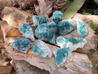 Natural Green Cubic Fluorite Specimens x 10 From Mandrosonoro, Madagascar