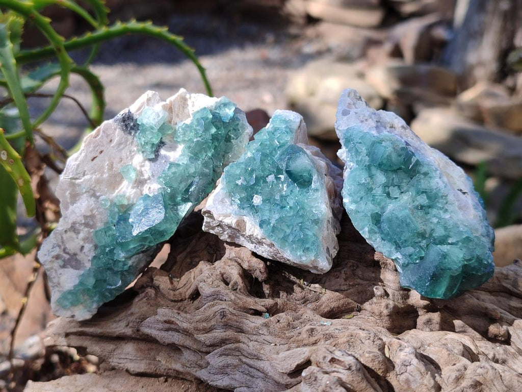 Natural Green Cubic Fluorite Specimens x 10 From Mandrosonoro, Madagascar
