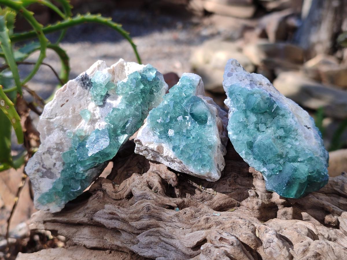 Natural Green Cubic Fluorite Specimens x 10 From Mandrosonoro, Madagascar