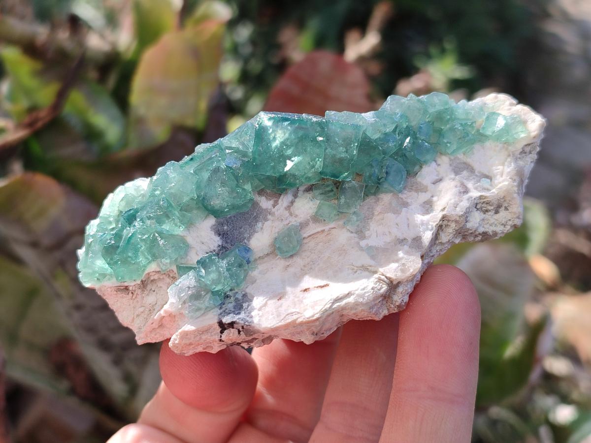 Natural Green Cubic Fluorite Specimens x 10 From Mandrosonoro, Madagascar