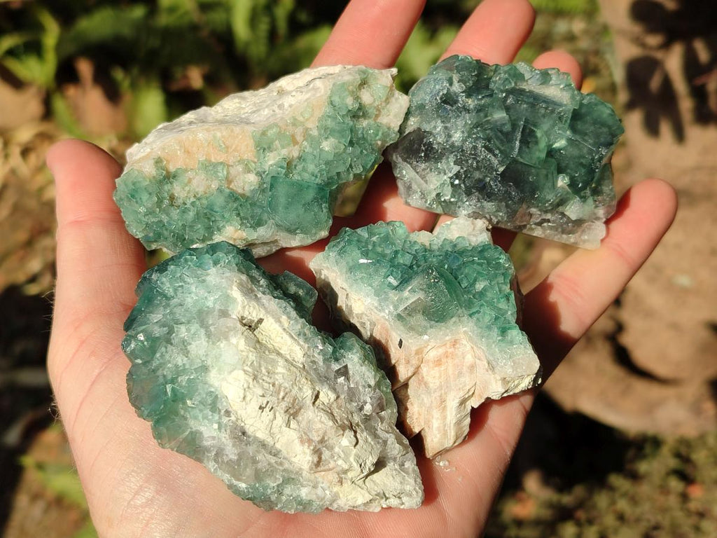 Natural Green Cubic Fluorite Specimens x 10 From Mandrosonoro, Madagascar
