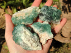 Natural Green Cubic Fluorite Specimens x 10 From Mandrosonoro, Madagascar