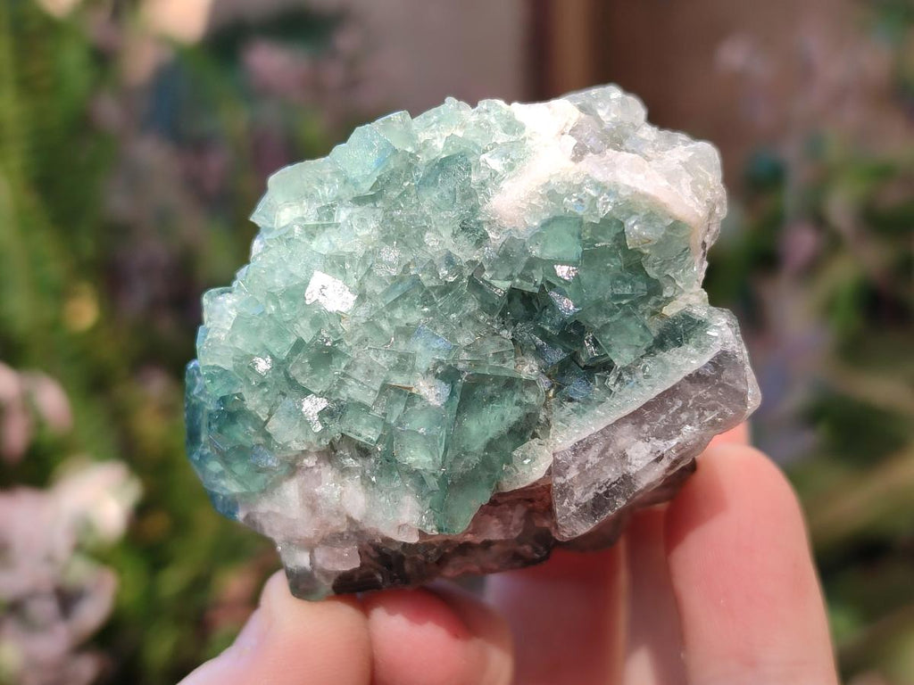 Natural Green Cubic Fluorite Specimens x 10 From Mandrosonoro, Madagascar
