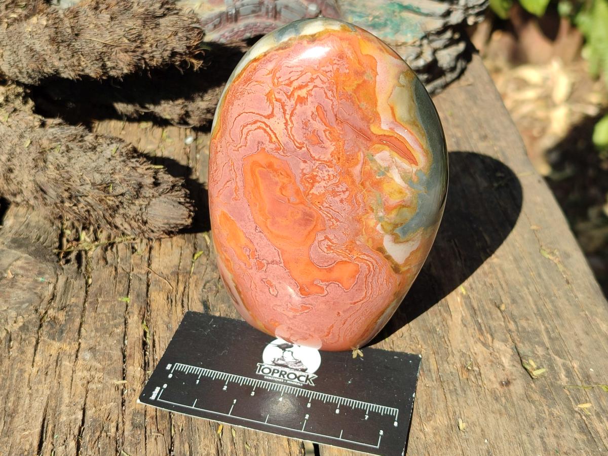 Polished Polychrome Jasper Standing Display Pieces x 3 From Androka, Madagascar