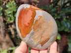 Polished Polychrome Jasper Standing Display Pieces x 3 From Androka, Madagascar