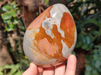 Polished Polychrome Jasper Standing Display Pieces x 3 From Androka, Madagascar