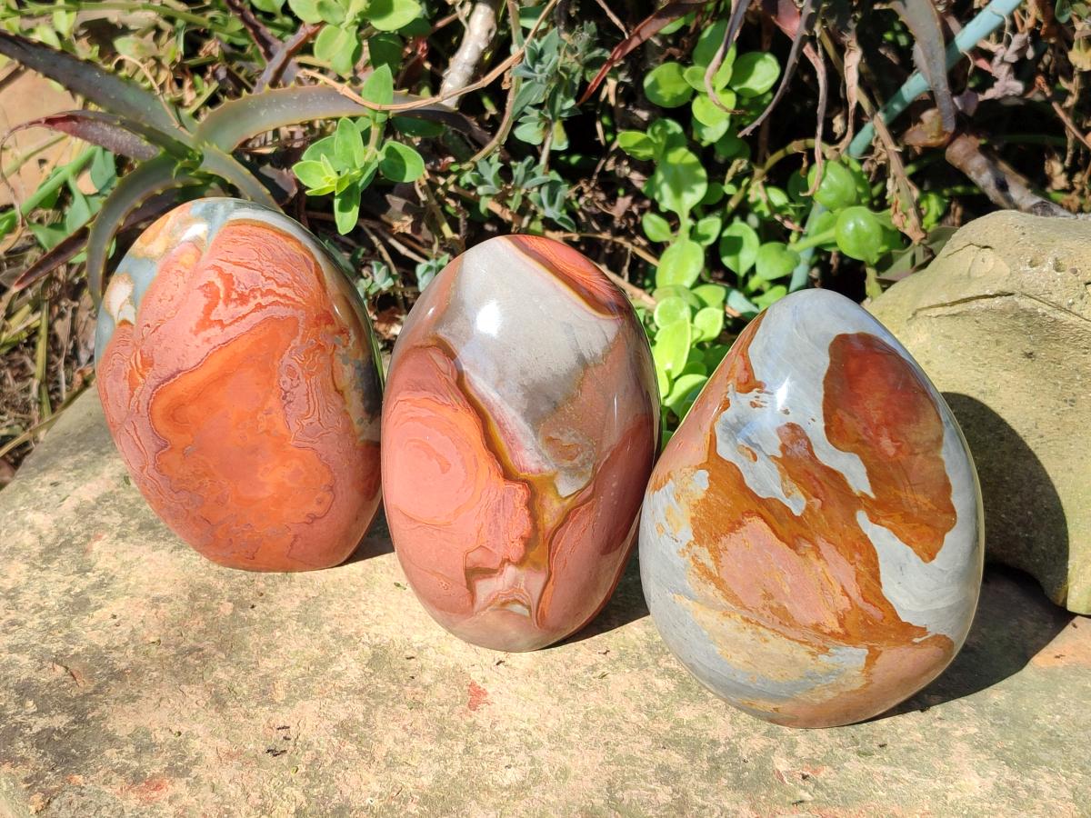 Polished Polychrome Jasper Standing Display Pieces x 3 From Androka, Madagascar