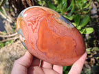 Polished Polychrome Jasper Standing Display Pieces x 3 From Androka, Madagascar