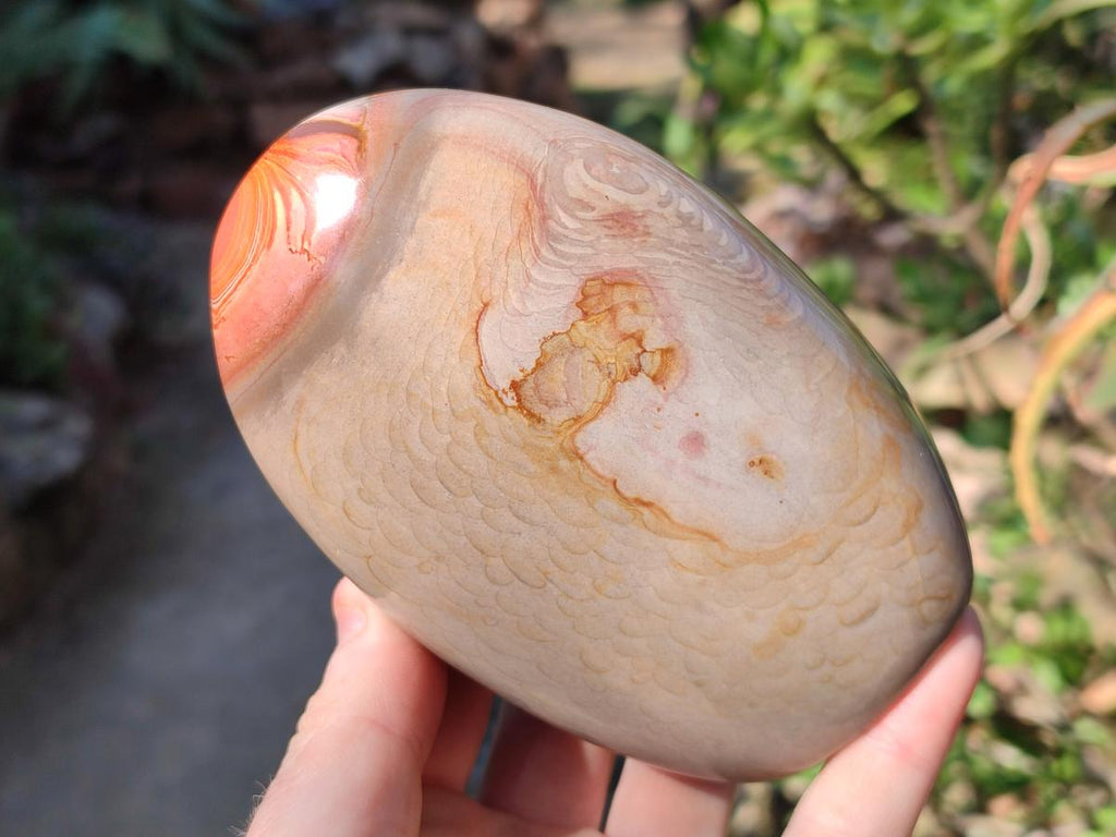 Polished Polychrome Jasper Standing Display Pieces x 3 From Androka, Madagascar