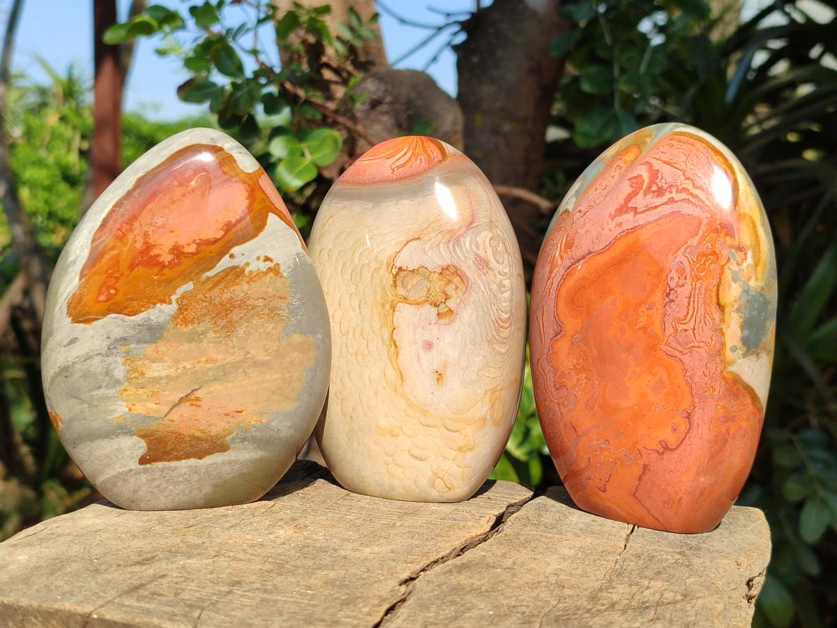Polished Polychrome Jasper Standing Display Pieces x 3 From Androka, Madagascar