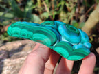 Polished Malacolla Free Forms x 6 From Kulukuluku, Congo