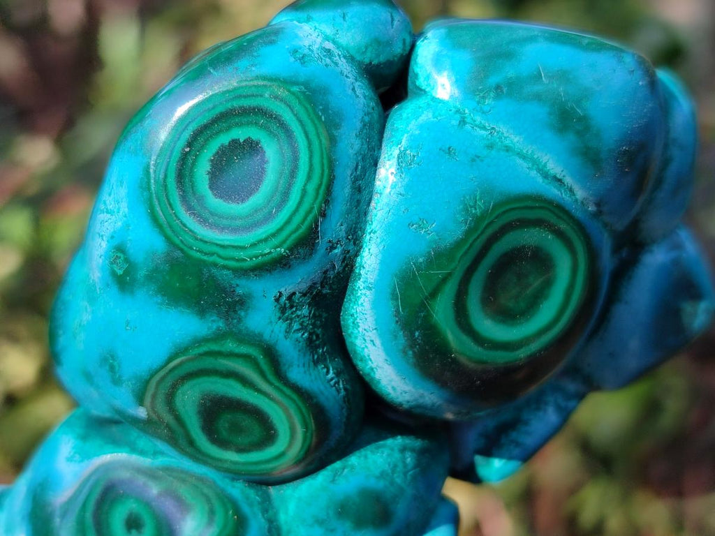 Polished Malacolla Free Forms x 6 From Kulukuluku, Congo
