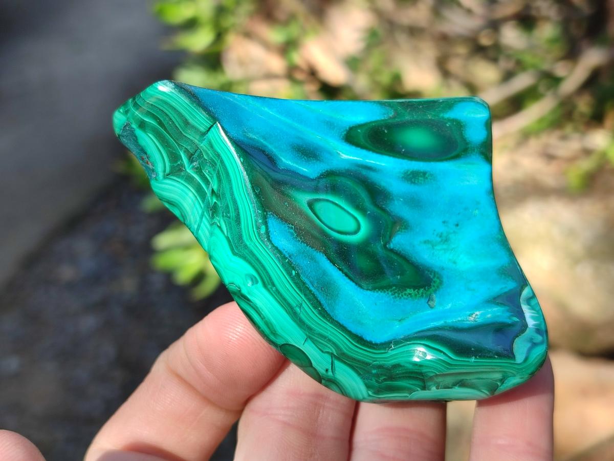 Polished Malacolla Free Forms x 6 From Kulukuluku, Congo
