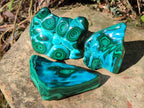 Polished Malacolla Free Forms x 6 From Kulukuluku, Congo