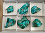 Polished Malacolla Free Forms x 6 From Kulukuluku, Congo