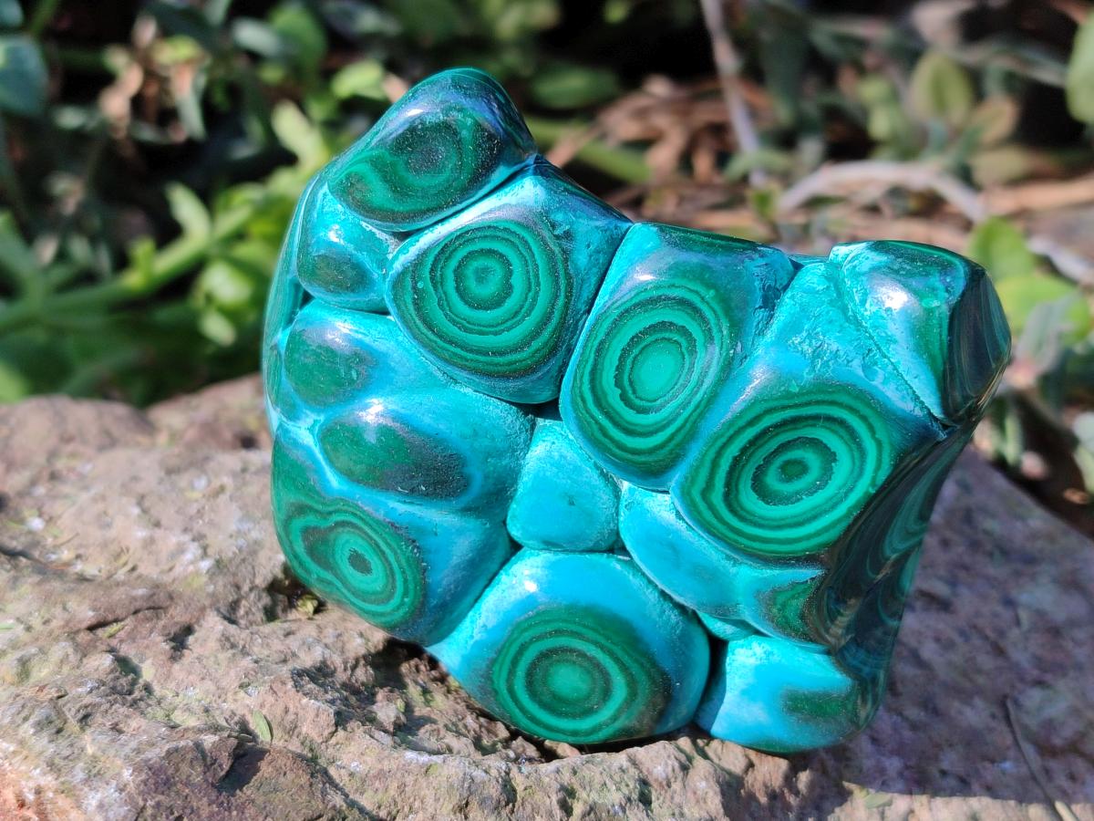 Polished Malacolla Free Forms x 6 From Kulukuluku, Congo
