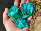 Polished Malacolla Free Forms x 6 From Kulukuluku, Congo