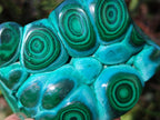 Polished Malacolla Free Forms x 6 From Kulukuluku, Congo